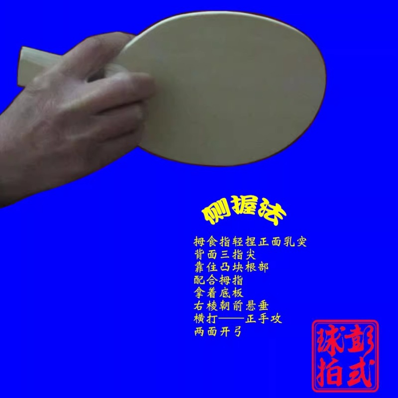 Chinese/Japanese Style Table T - Table Tennis Xiom 评论和价格