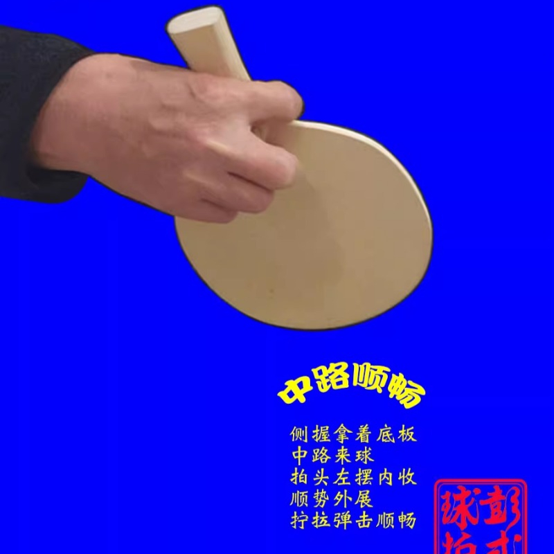 Chinese/Japanese Style Table T - Table Tennis Xiom 评论和价格